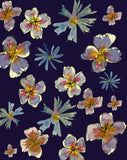 Carte à planter - Fleurs bleues et mauve sur fond bleu foncé