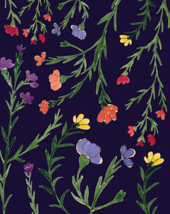 Multicoloured Flowers on Dark Blue Background - Plantable Card