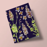 Carte à planter - Lavande sur fond bleu foncé