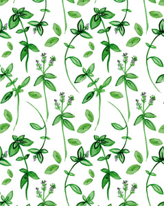 Feuillage vert - carte à planter