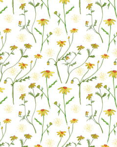 Carte à planter - Marguerites
