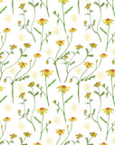 Carte à planter - Marguerites