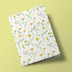 Carte à planter - Marguerites