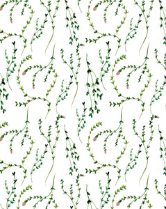 Branches et feuillages - carte à planter
