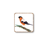 Animal Magnets - Bullfinch