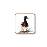 Animal Magnets - Mallard