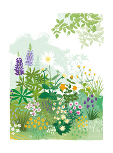 English Garden - lupins and anemones