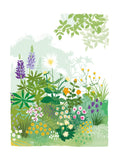 English Garden - lupins and anemones