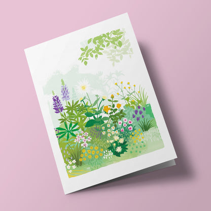 English Garden - lupins and anemones