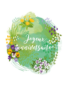 Jardin anglais - Anniversaire pensées et oeillets de poète