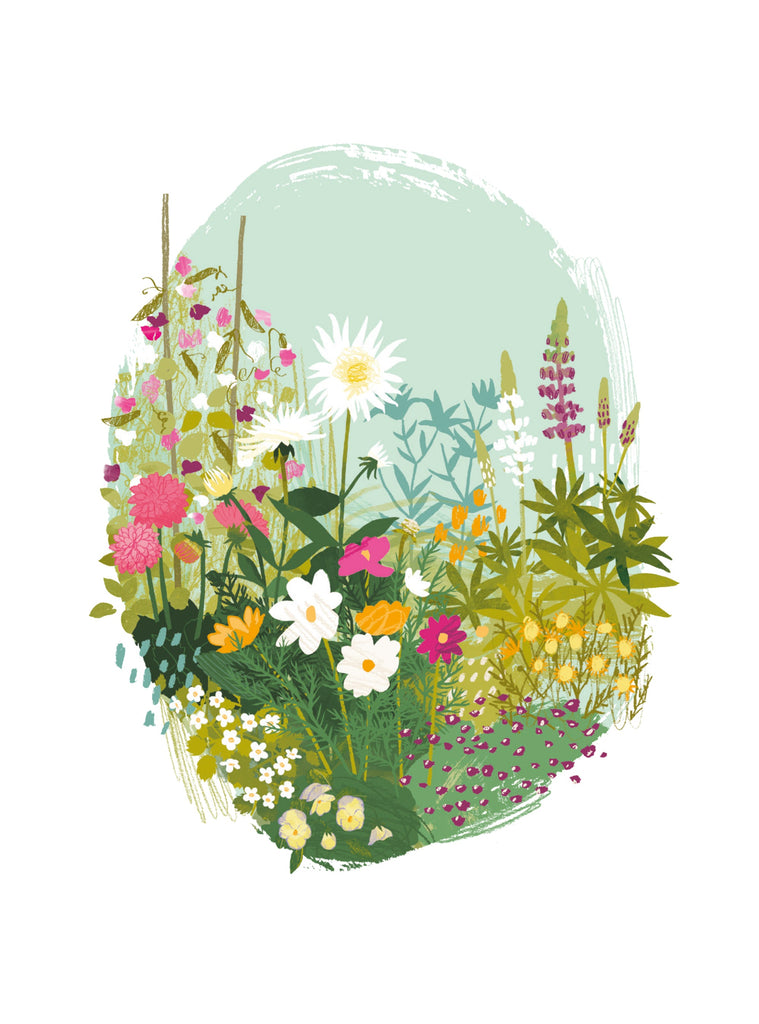 Jardin anglais - Fleurs d'été paquerettes et glayeuls