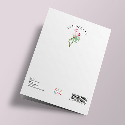 Les Belles Plantes - Oxalis