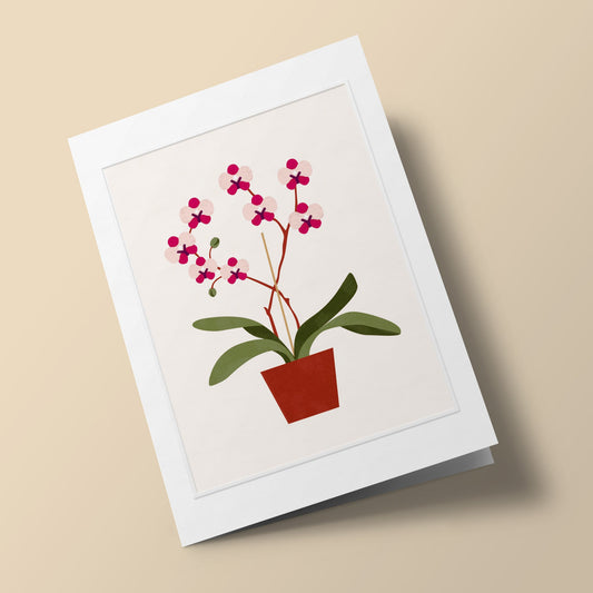 Les Belles Plantes - Orchidée