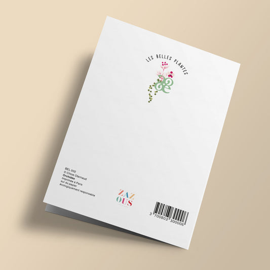 Les Belles Plantes - Orchidée