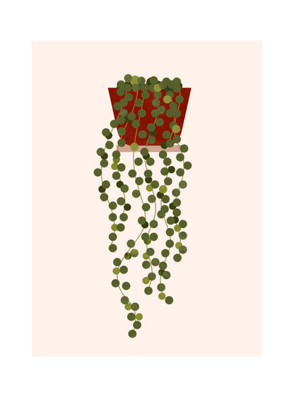 Les Belles Plantes - String of Beads
