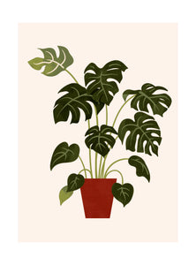 Une face de "Les Belles Plantes"