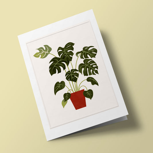 Les Belles Plantes - Monstera