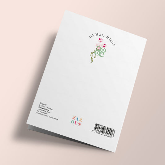 Les Belles Plantes - Clivia Miniata