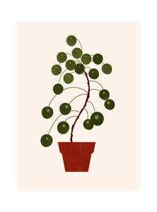 Une face de "Les Belles Plantes"