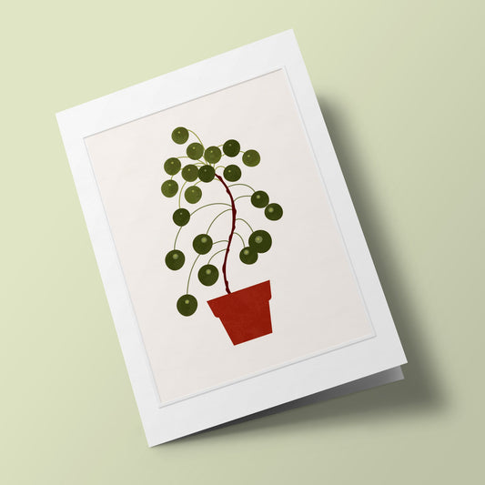 Les Belles Plantes - Pilea
