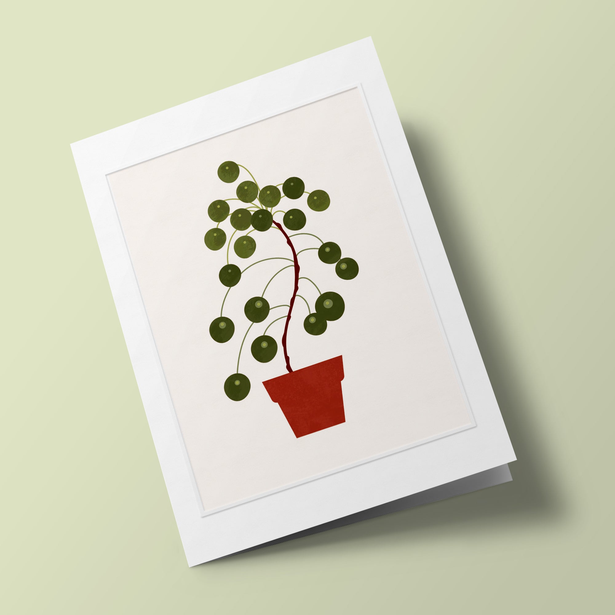 Beautiful Plants - Pilea