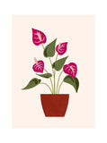 Une face de "Les Belles Plantes"