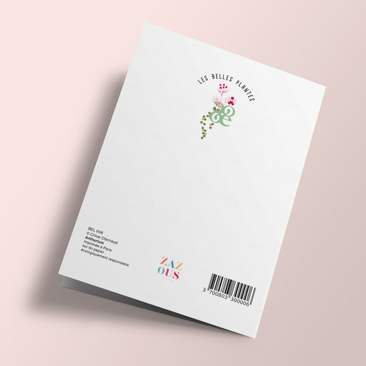 Les Belles Plantes - Anthurium