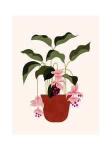 Une face de "Les Belles Plantes"