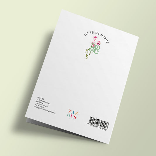 Les Belles Plantes - Medelina