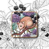 Nature Magnet - Dormouse