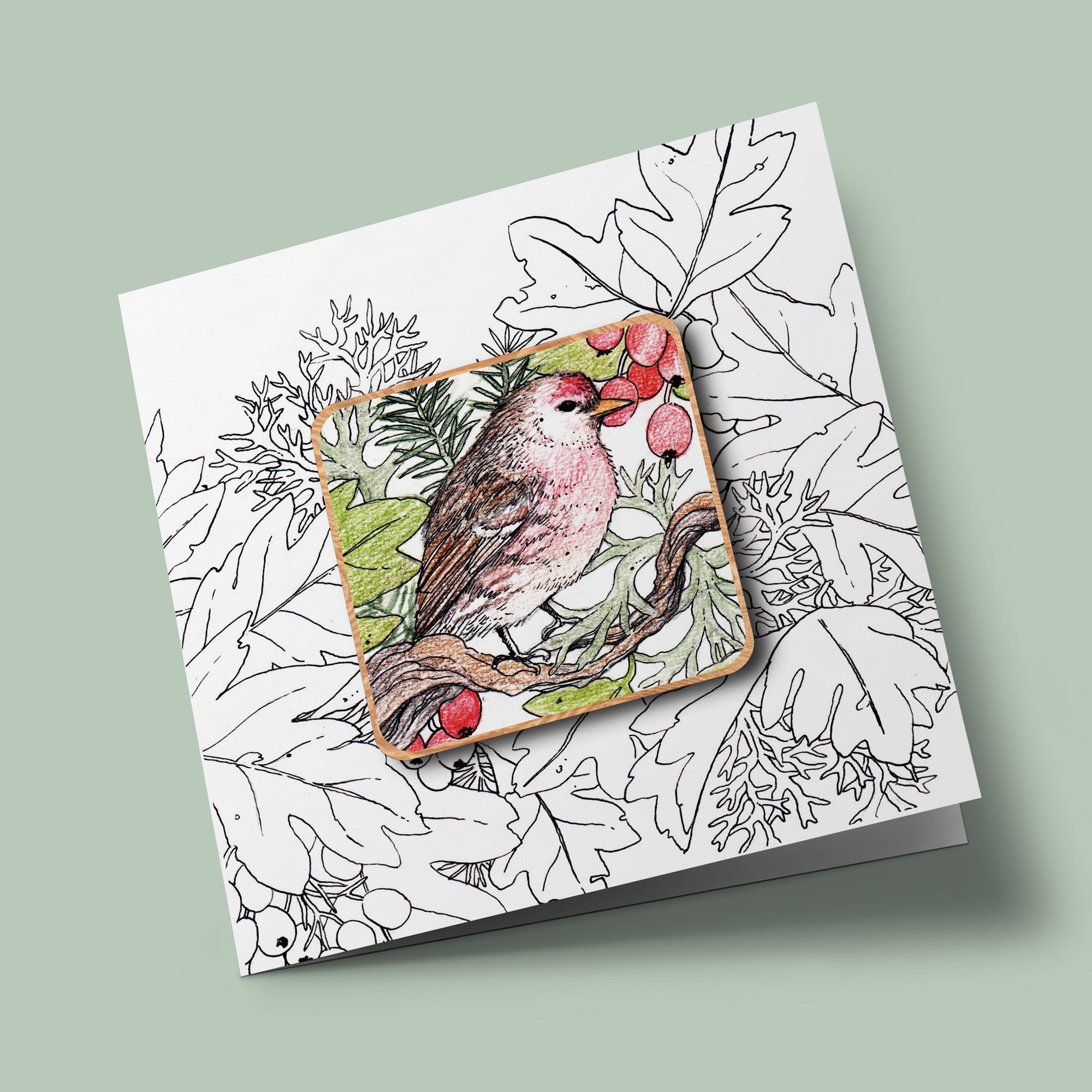 Nature Magnet - Oiseau (redpoll)
