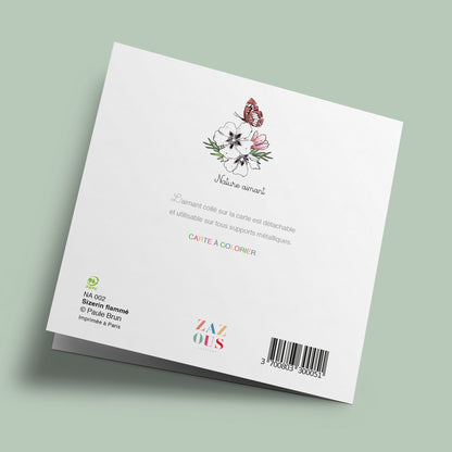 Nature Magnet - Oiseau (redpoll)