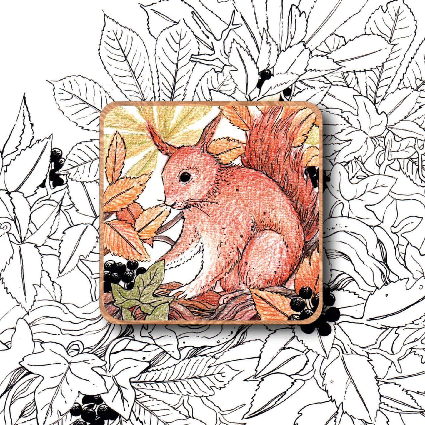 Nature Magnet - Squirrel