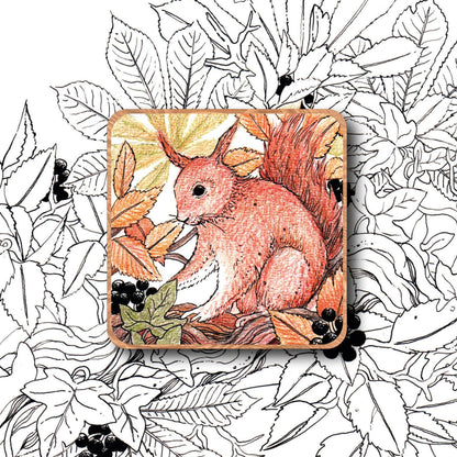 Nature Magnet - Squirrel