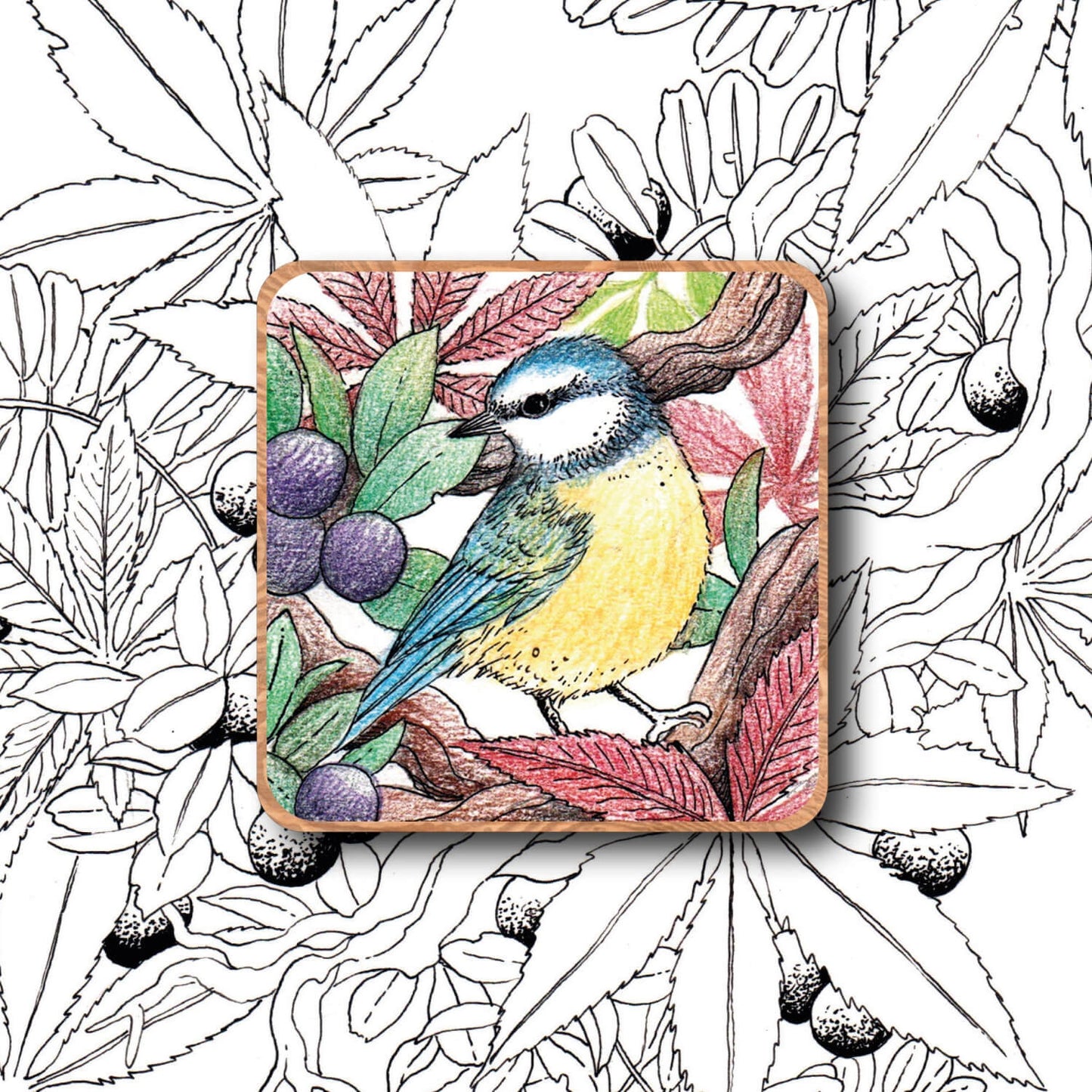 Nature Magnet - Tit