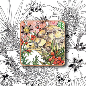 Nature Aimant - Tortue