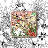 Nature Aimant - Tortue