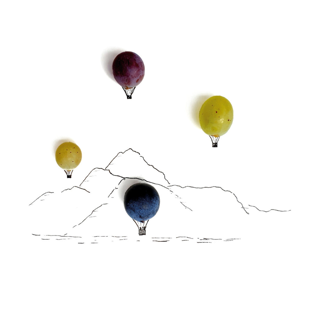 Touch of Nature - Hot air balloons