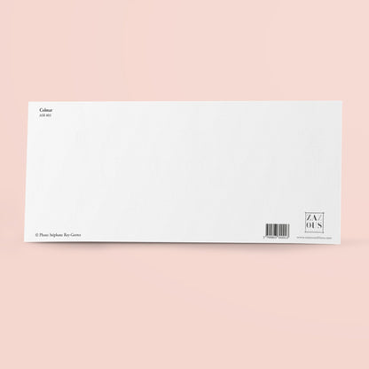 Panoramic card - Colmar