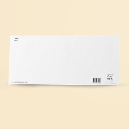 Panoramic card - Colmar