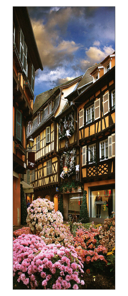 Carte panoramique - Colmar