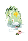Modello - Swan on a Lake