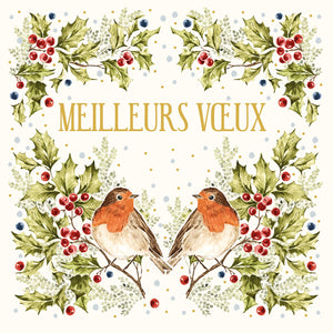 Noël Mix - Rouge-gorge et houx, sur fond blanc