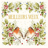Noël Mix - Rouge-gorge et houx, sur fond blanc