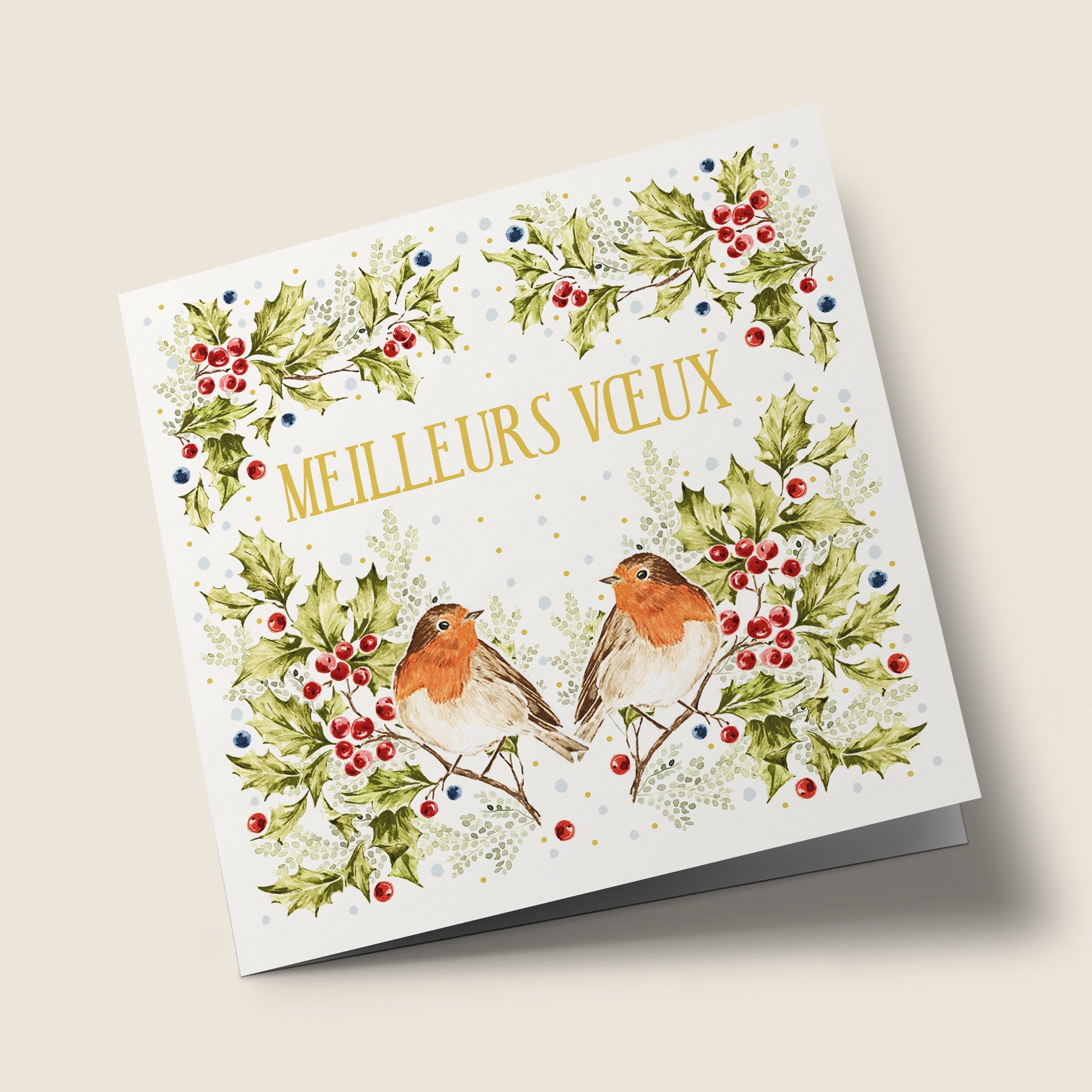 Noël Mix - Rouge-gorge et houx, sur fond blanc