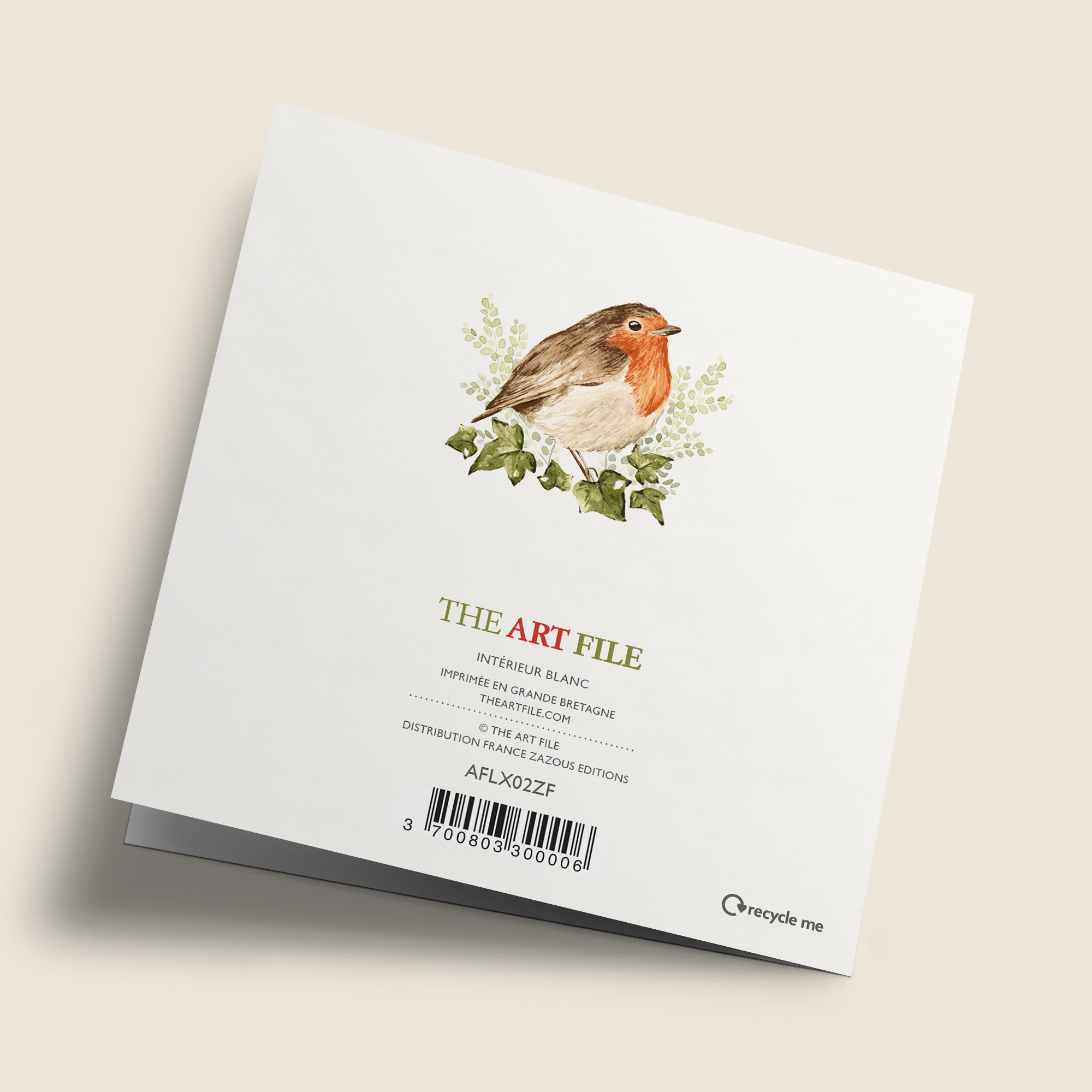 Noël Mix - Rouge-gorge et houx, sur fond blanc