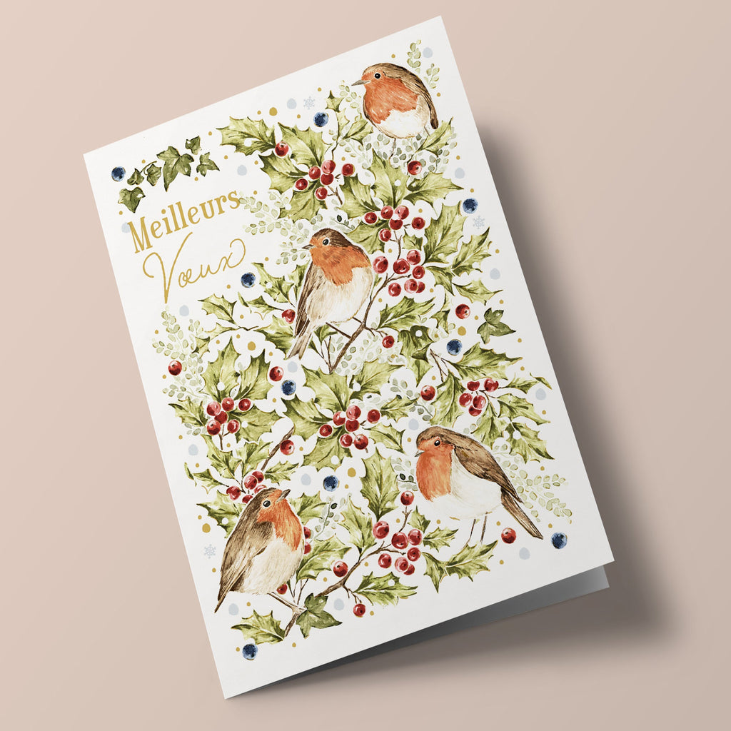Noël champêtre - Rouge-gorge et houx, sur fond blanc