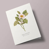 Book and botanics - Eglantine