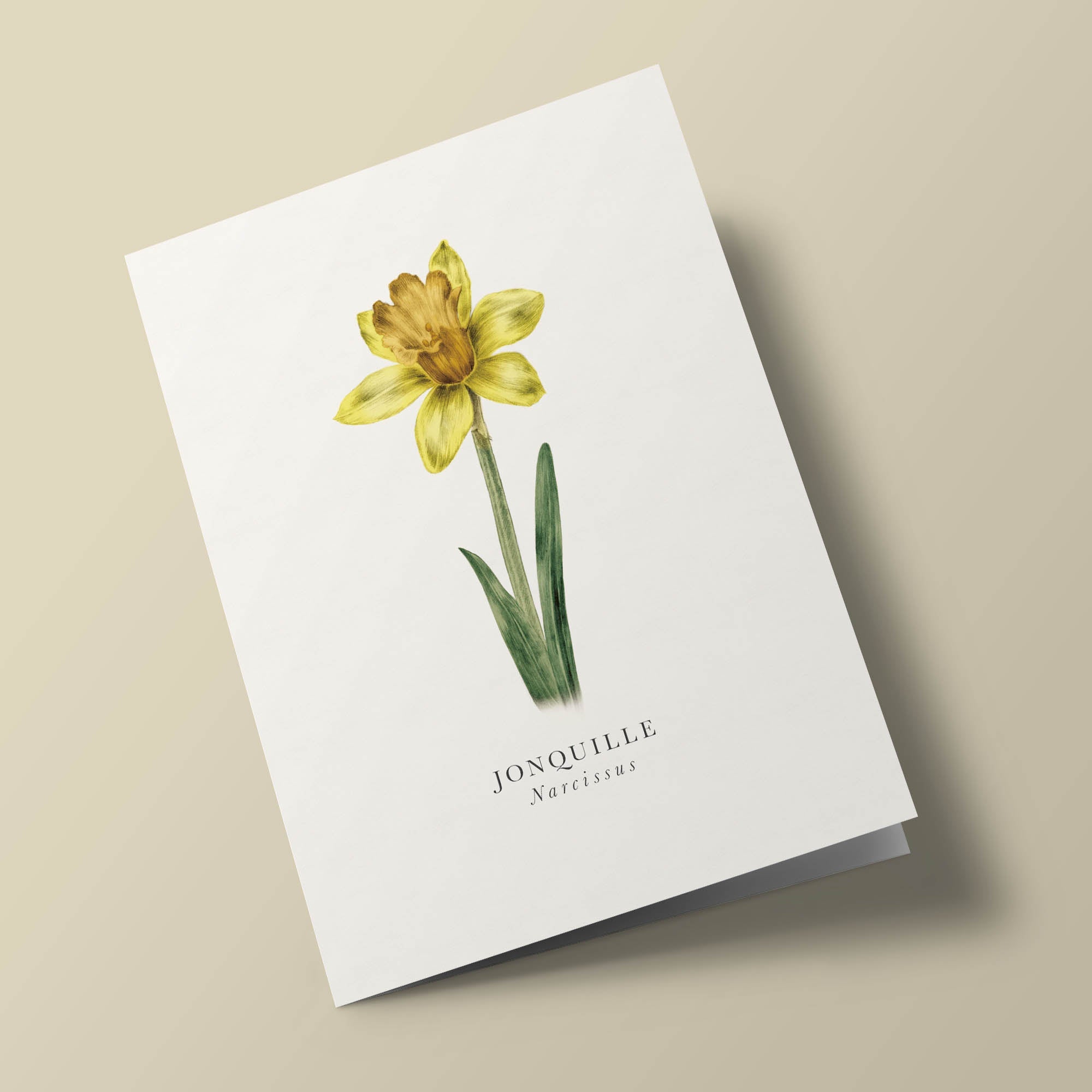 Book and botanics - Daffodil