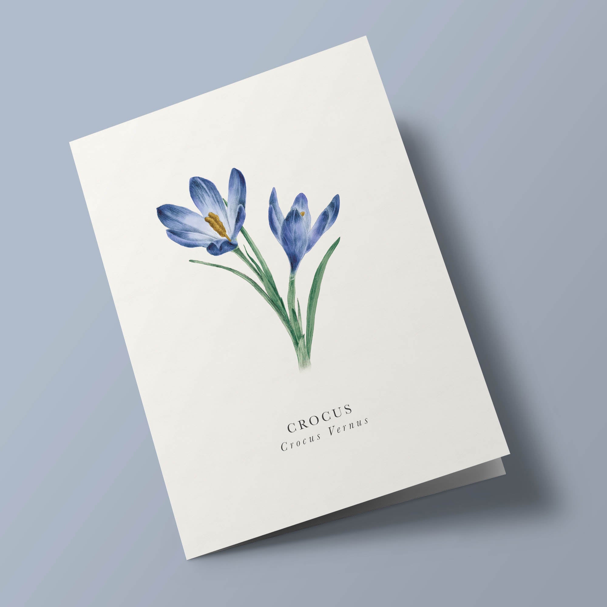 Book and botanics - Crocus